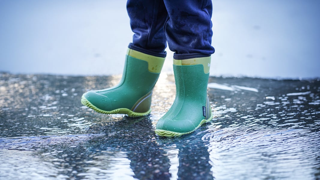 Dock Boot